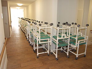 Pflegewagen, Wäschewagen, Sammler